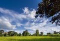 Agricultural plots landscape